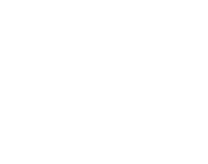 A12-blokkade | Stop Fossiele Subsidies